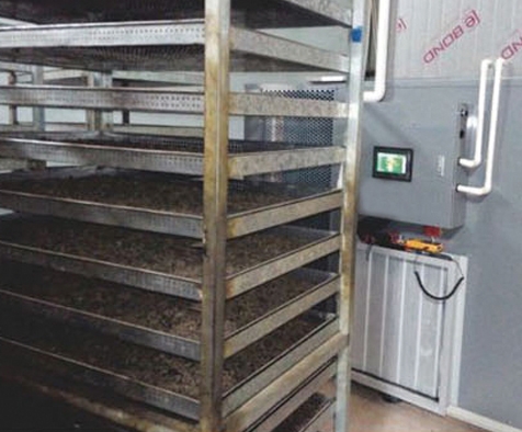 肇慶巴戟天烘干